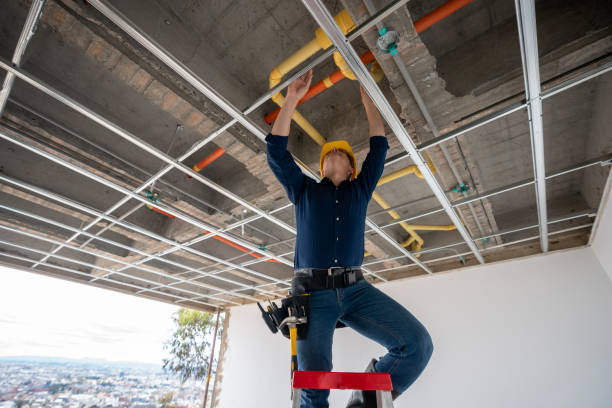 Best Plumbing Inspection Services  in Manorville, NY